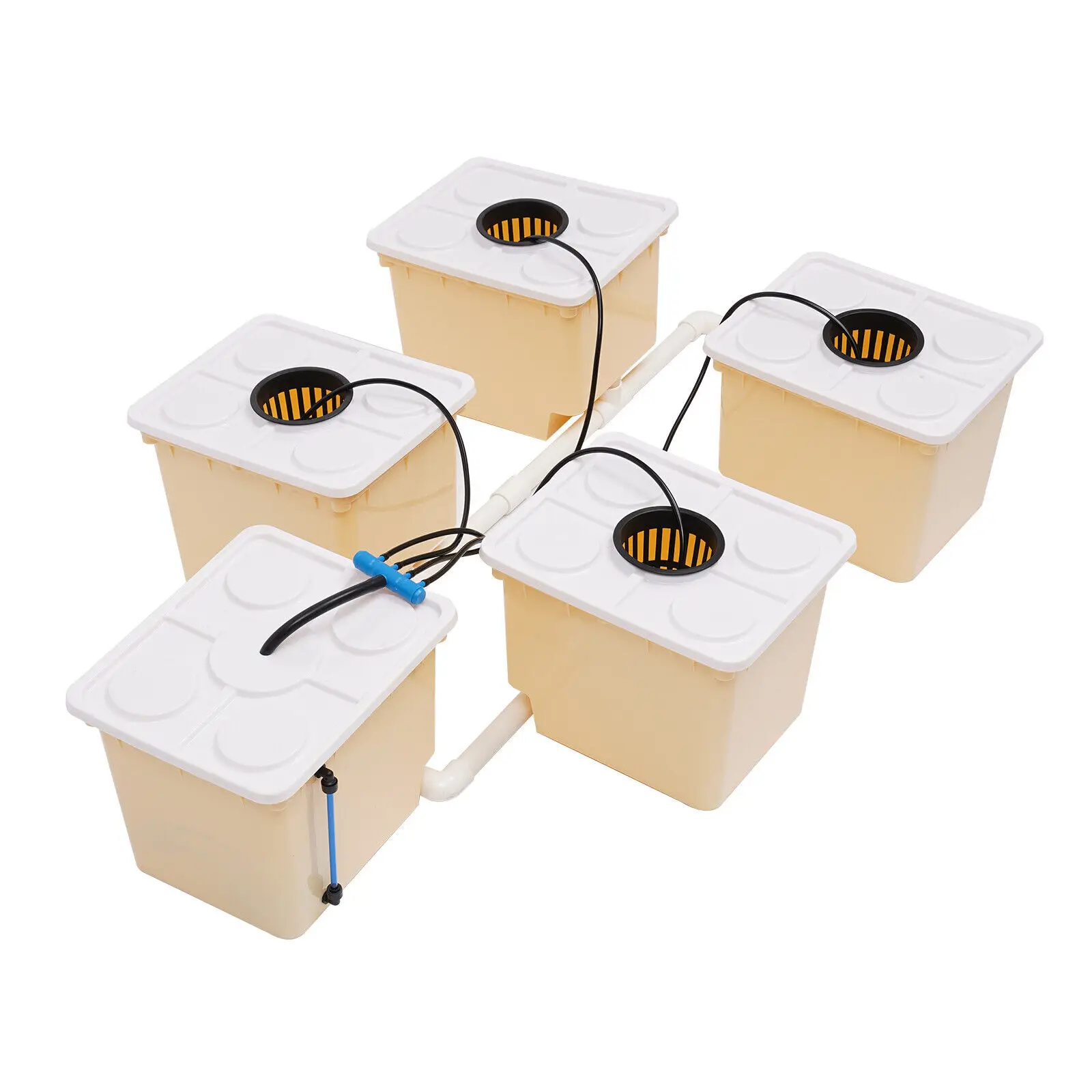 Hydroponics Deep Water Culture DWC System Bucket Drip Growing System for Indoor Gardening And Plant Cultivation