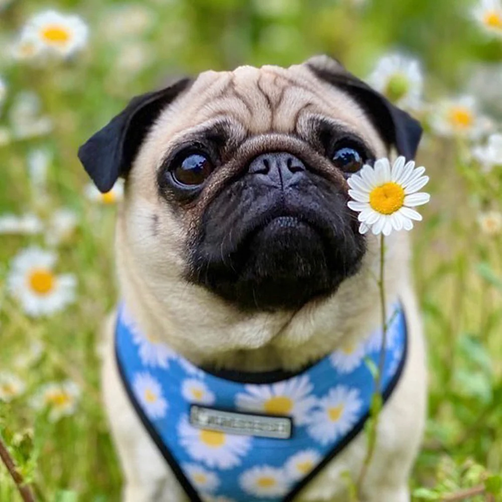 105038348_219517529024567_1924