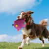 Interactive Ball Dog Toy Suitable for  Chewing Training, Stress Relief, Bite Sound Resistance, Plush tug-of-war Toy three color 3