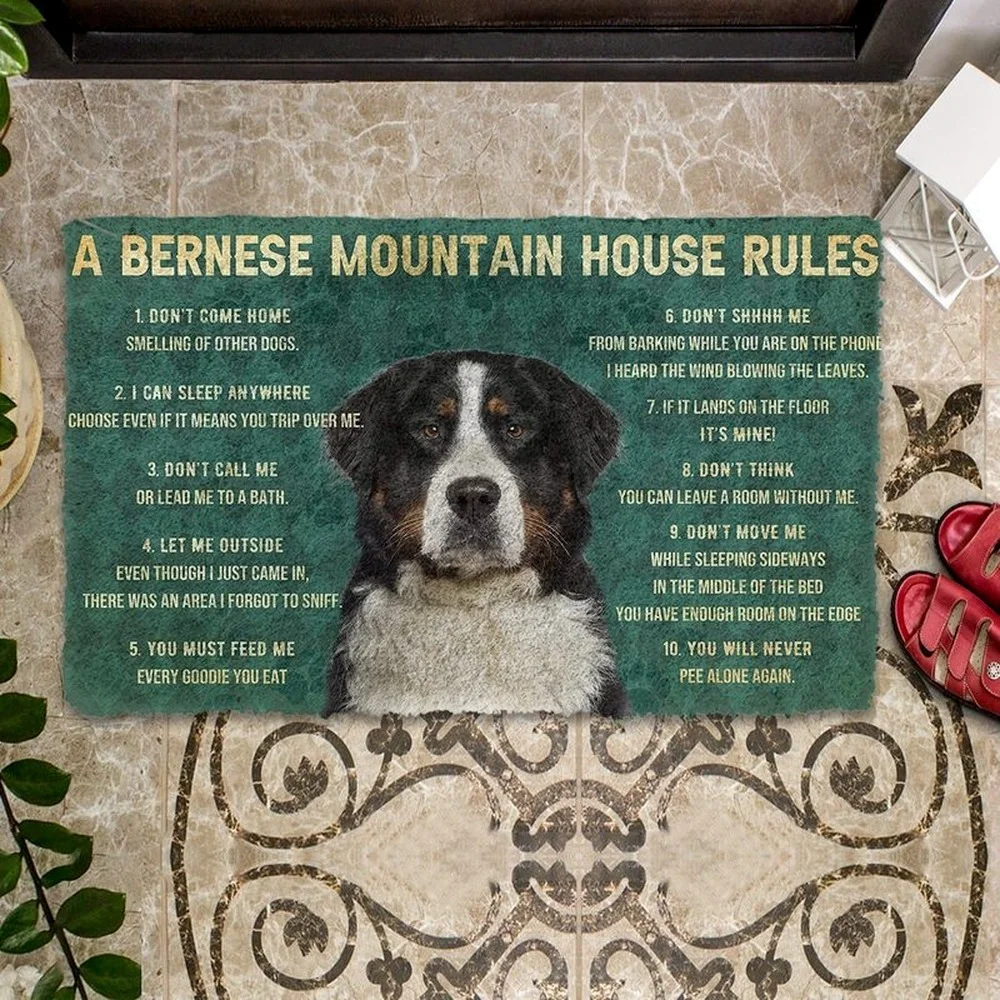 Shiba Inu Doormat for Bedroom Porch floor mat non slip mat door mat fun doormat