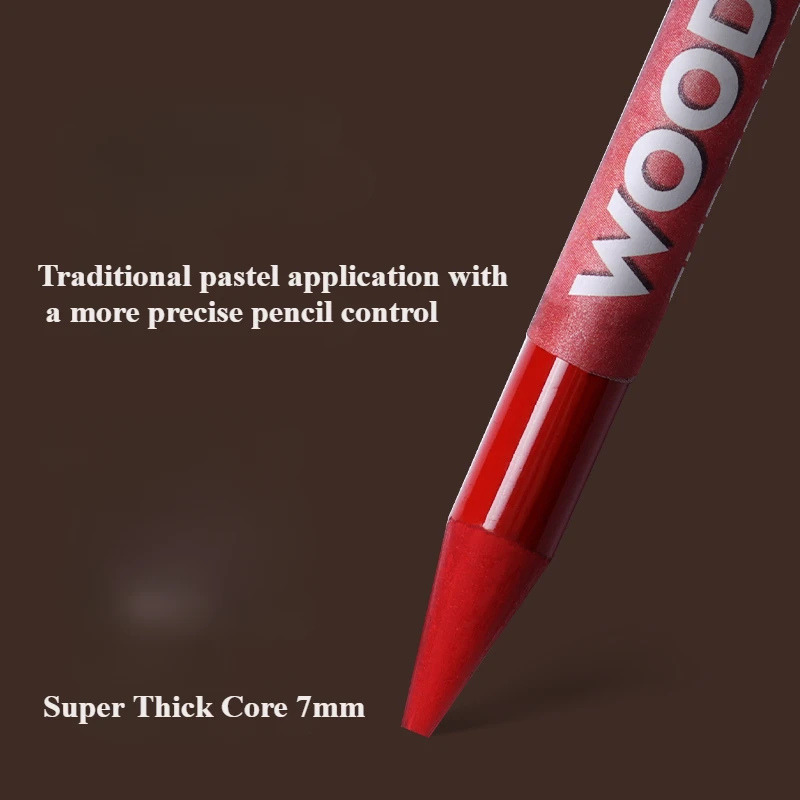 Woodless Pastel Pencils 24 Colors 7mm Core Artist Grade Chalk Charcoal Pencil Great Blending and Layering Sketching in Case 2