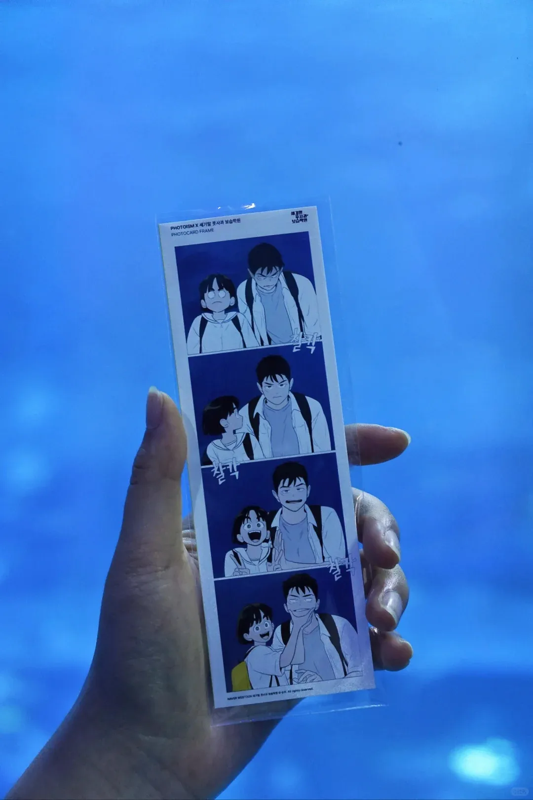 Transparent card Figures Acrylic Stand Anime Action Accessories Gift Toy After School Lessons for Unripe Apples