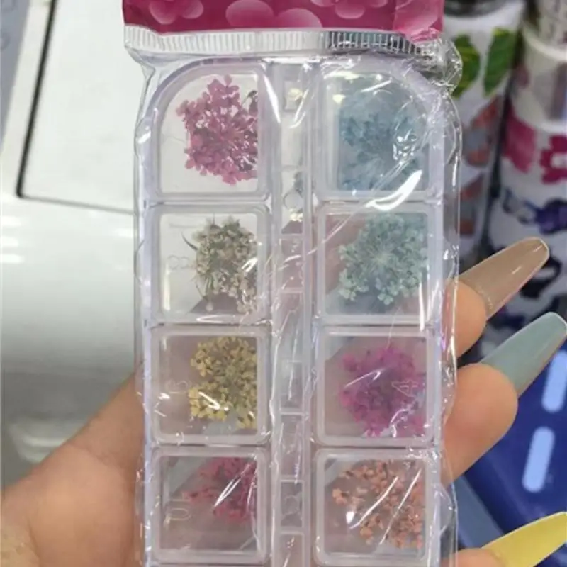 Ư   Į,  Ʈ ׼,  ,  