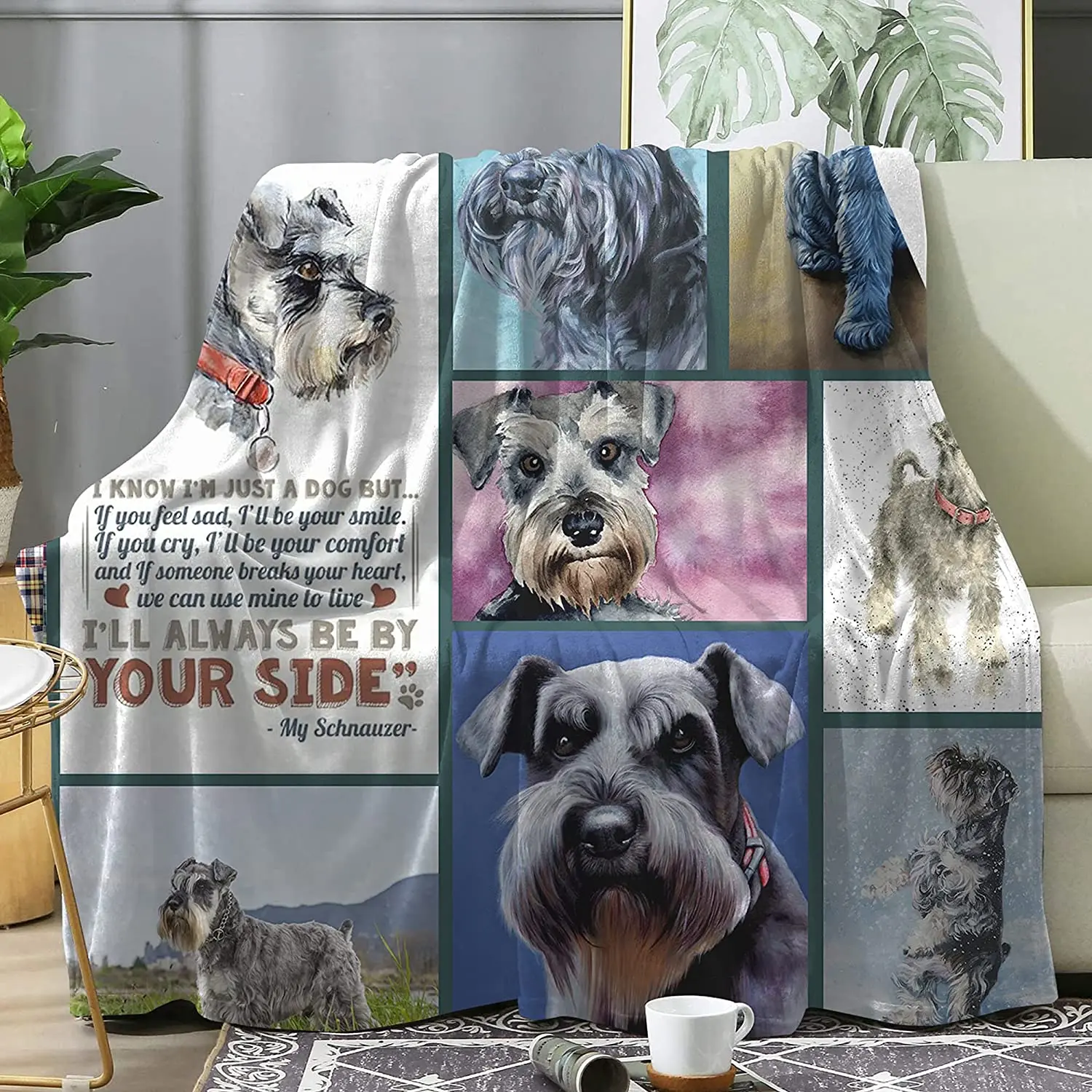 �ö��� �ø��� ��� ���� ��� ������ ���, �ſ� �ε巴�� �ƴ��ϰ� ������ ���, ������ ���� ħ�� ���� �繫��