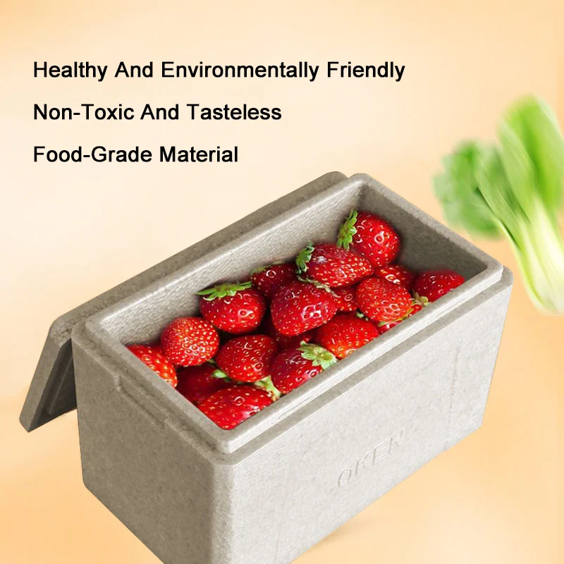 Eco-Friendly Insulated Portable Food Storage Box