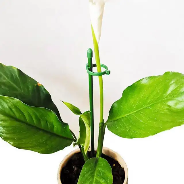 1 Beállított Kert Bonsai Tartó Állvány Rúd Virág Tét Zöldségek Növényi Cserepes Rudak Kerti Kiegészítők - Image 4