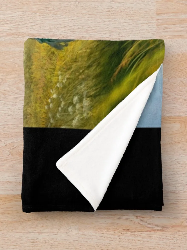 Ajani - Throw ���, ���� ħ�� ���, ������ ���, ���� ���