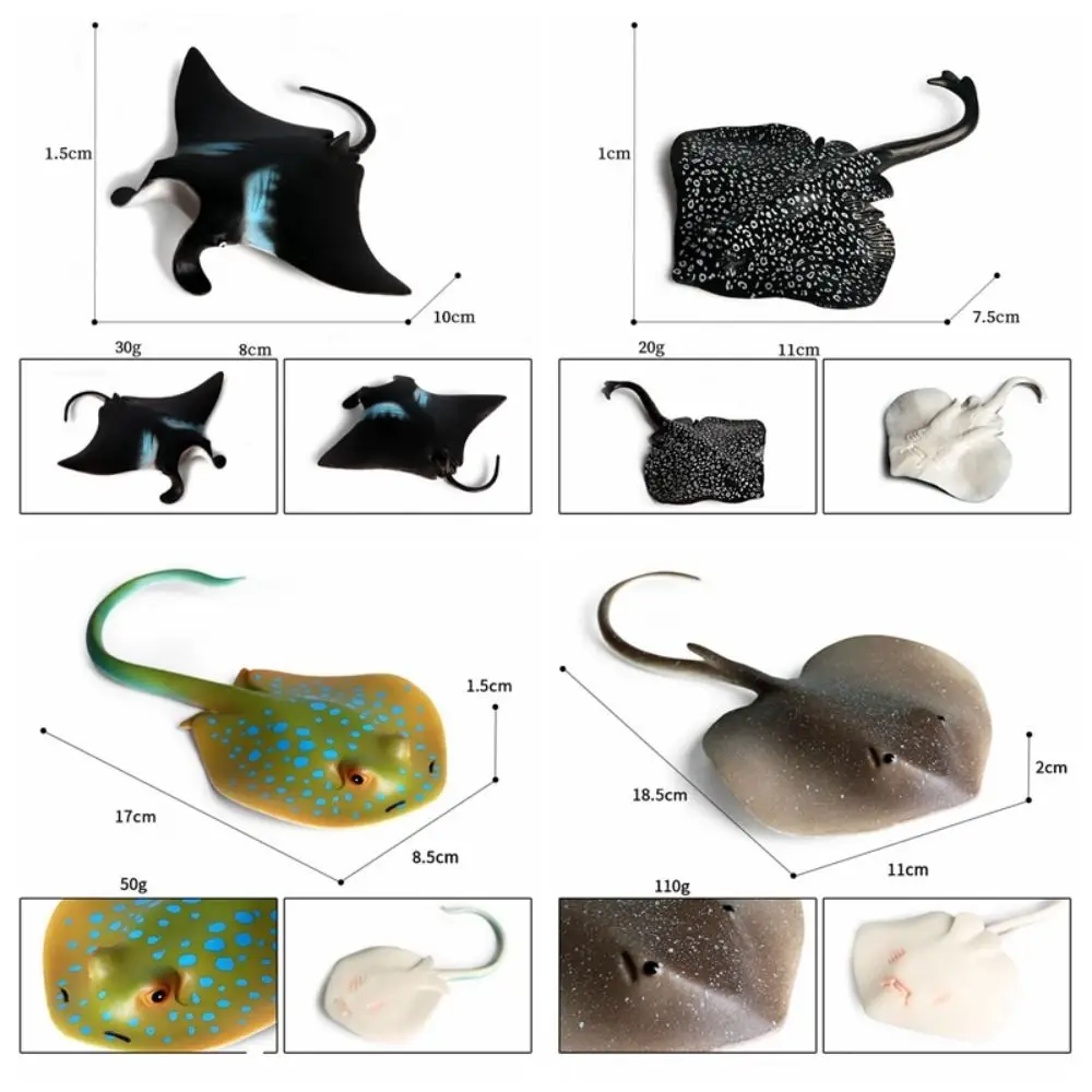 Simulation Manta Ray Model Miniature Cognition Ocean Animal Figures Educational Marine Sea Life Action Figurines Ornaments