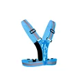 LED Blue