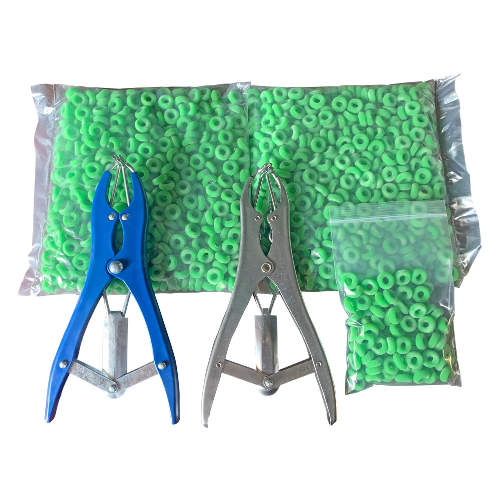 Sce2efde2ff934732bd2e8da6c637d3c1X jpg