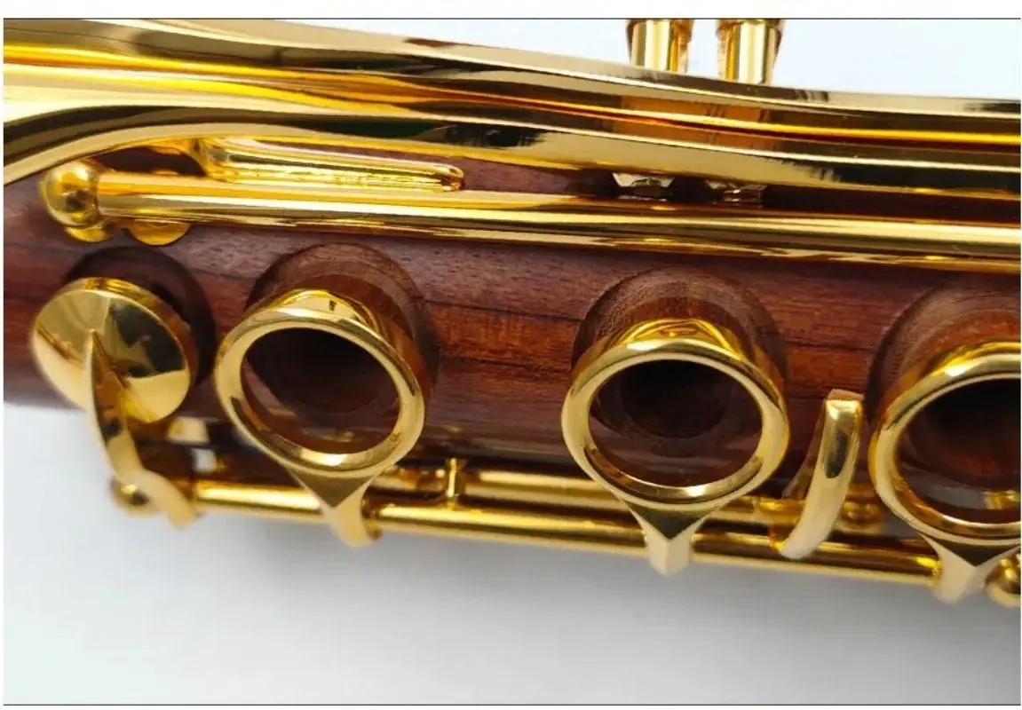 MORESKY Red Wood Professional Clarinet Rosewood bB Gold-plated keys Solid wood Sib Klarnet