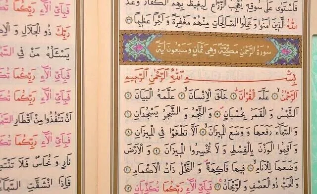 Рисунок 5 - 41 Ясин, оптовая продажа