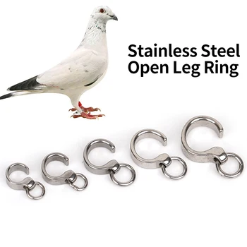 Parrot Anklet Stainless Steel Anklet Bird Pigeon Bird Ring Parrot Leg Outdoor Training Activity Opening Foot Ring Bird Supplies