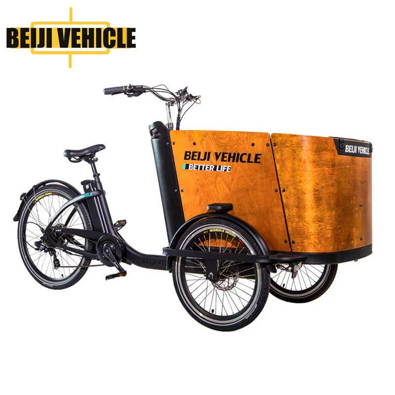 Popular Dutch Bike 250w Electric Cargo Bike For Kids Tricycle For Carry Children