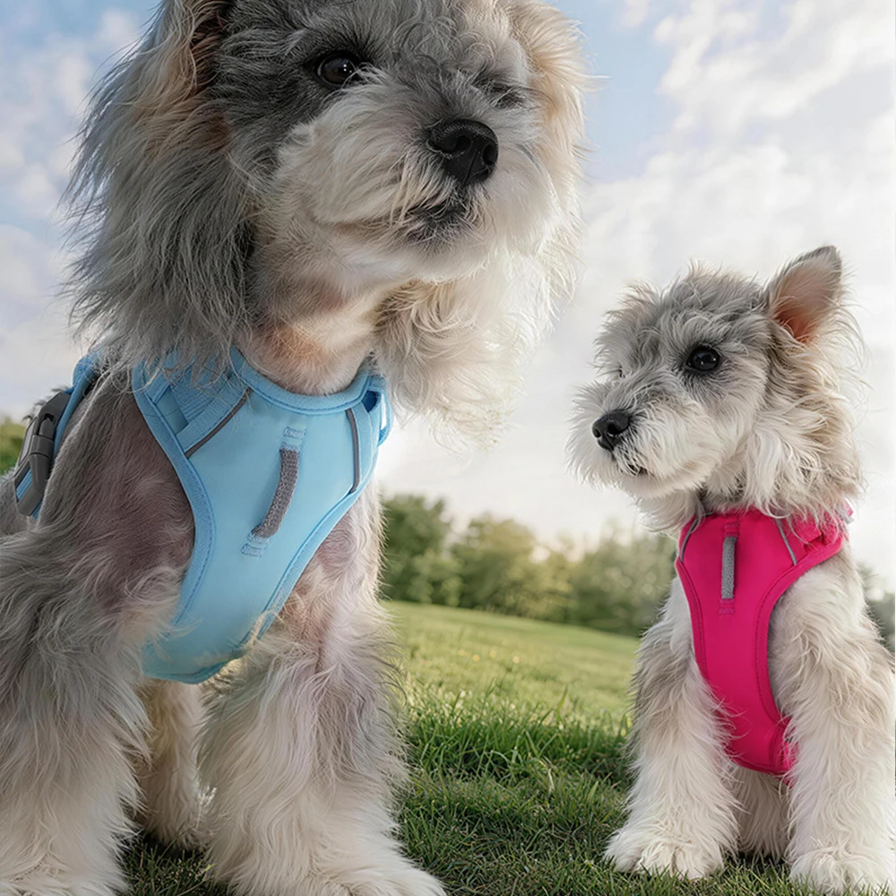 Premium Lightweight Dog Harness Breathable Mesh No-pull Pet Vest_voghion.com