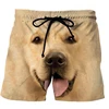 New Funny Animals Dog Hawaiian Beach Shorts Cute Pets 3D Print Men Surfing Board Shorts Oversized Swimwear Trunks Kids Clothing 2