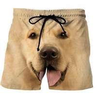 New Funny Animals Dog Hawaiian Beach Shorts Cute Pets 3D Print Men Surfing Board Shorts Oversized Swimwear Trunks Kids Clothing 2