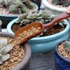 5Pcs Mini Garden Scoop Multi-function Succulents Soil Plastic Shovel Spoons Tool Mini Garden Scoop Multi-function Succulents 6