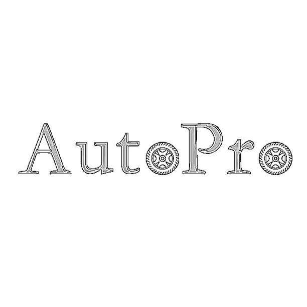 Auto Pro Store