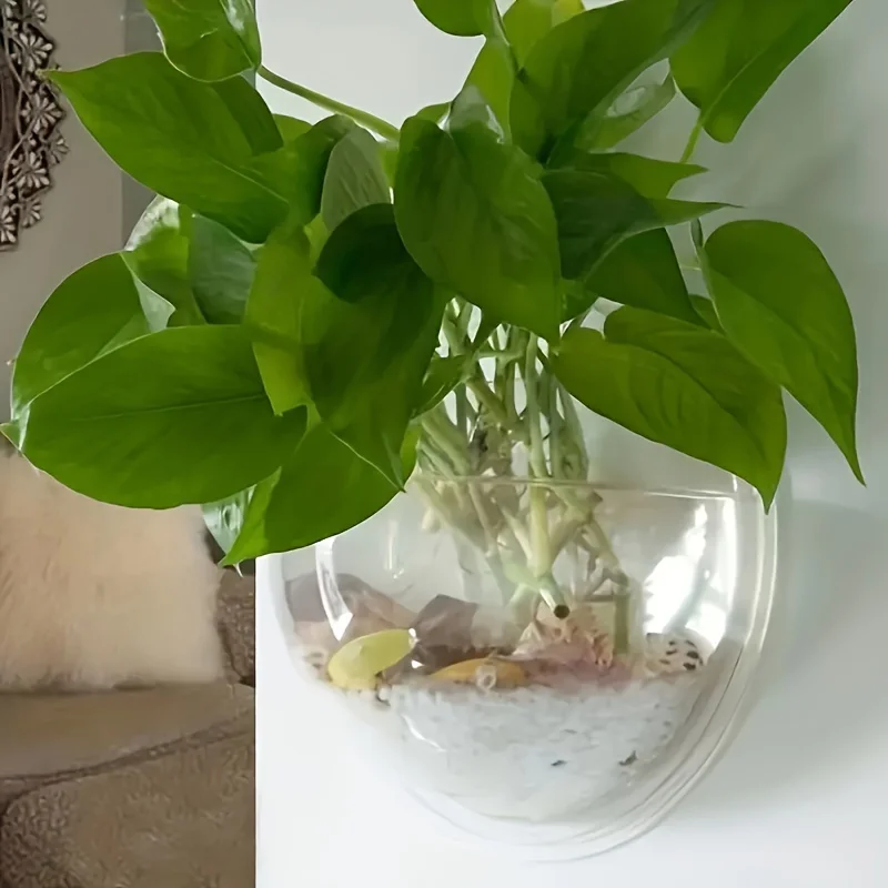 Versatile Hydroponic Planter No-Drill Indoor/Outdoor Wall Mount Aquarium Bowl for Home Decor & Garden Care hydroponic planter
