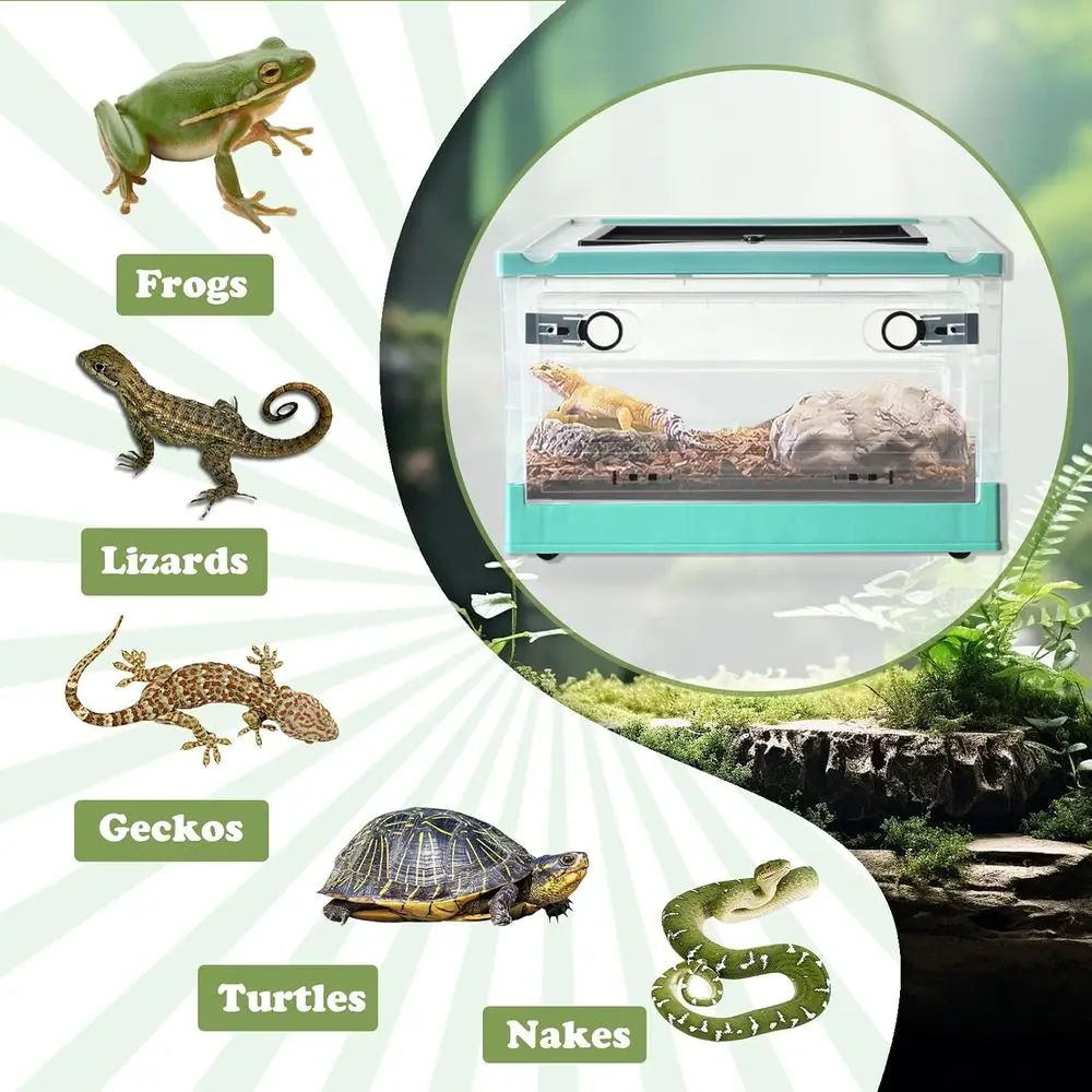 Portable Reptile Habitat Enclosure 6