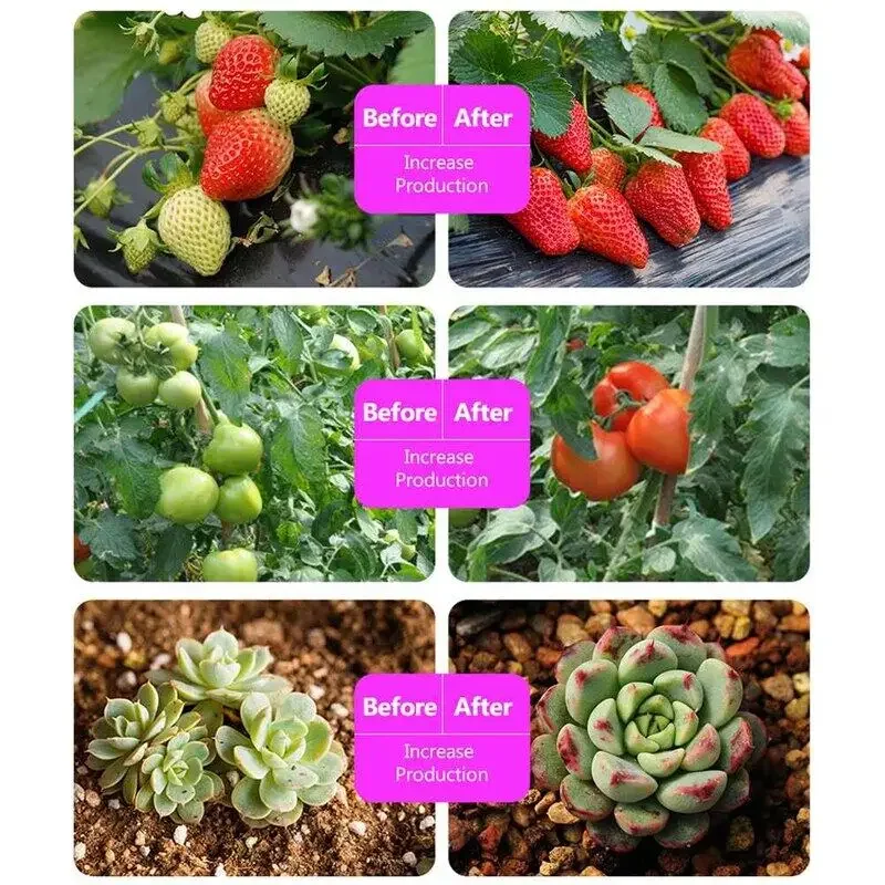 Slide image 26d26cd6c58043c0ab481fa38e682661