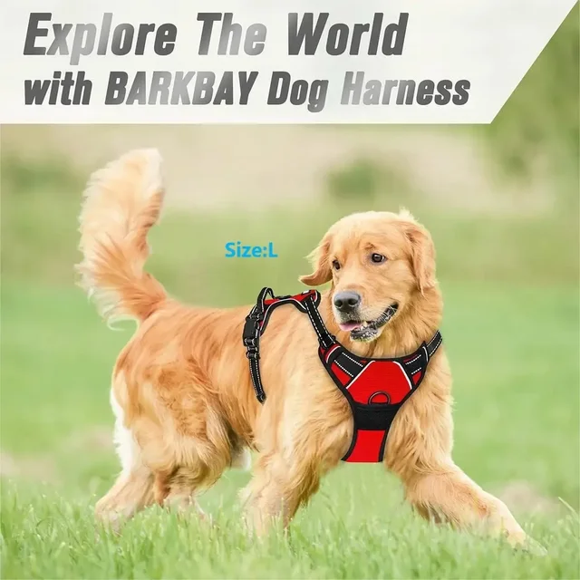 Dog Collars Harness Big Vests Leash Pet Shop Everything for Dogs Leather Puppy Accessories Medium Small Set 3