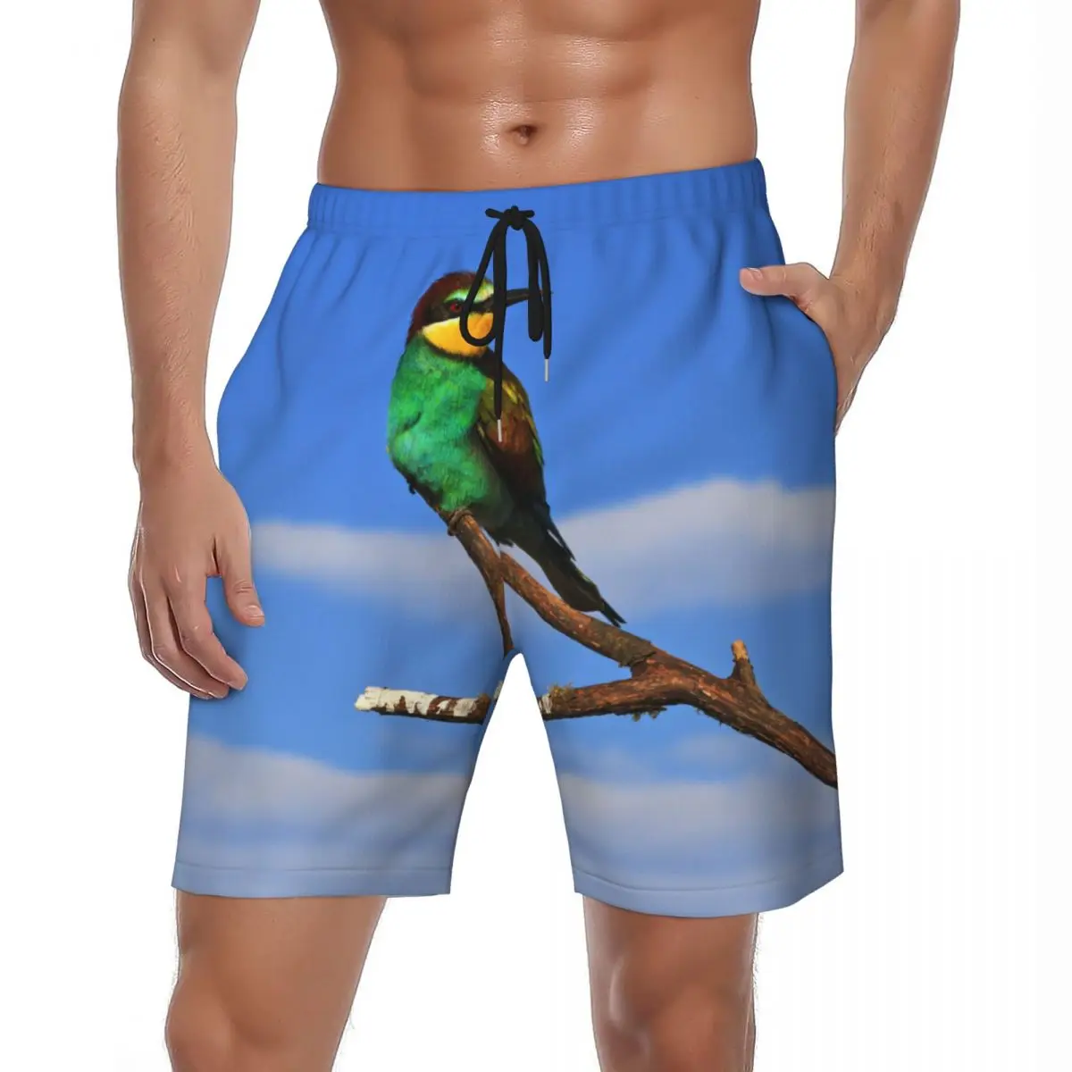 

Bird With Colored Feathers Board Shorts Summer Fashion Casual Beach Shorts Males Sports Quick Drying Design Swim Trunks