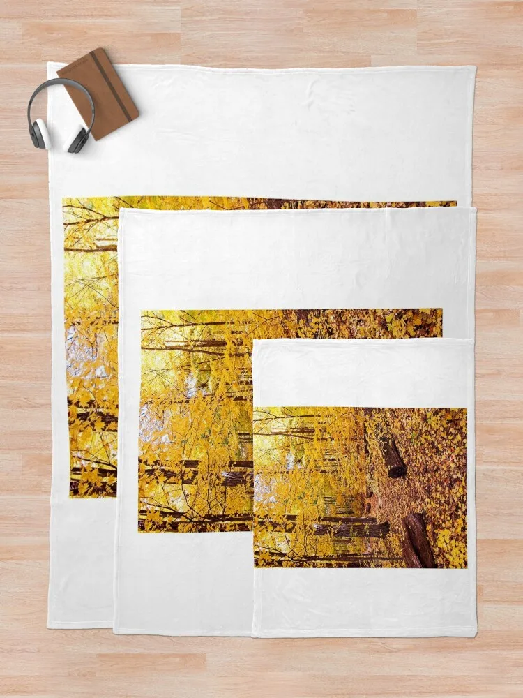 ���� Ʈ����, UW �����, �ŵ�, WI ���ο� ���, ���� ���� ���, ǫ���� ���� ���, �ڽ����� �ִϸ��̼�