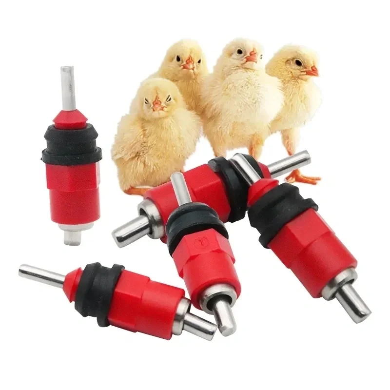 Pack of Chicken and Bird 360° Water Nipples