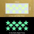 4cm 11 stars YG