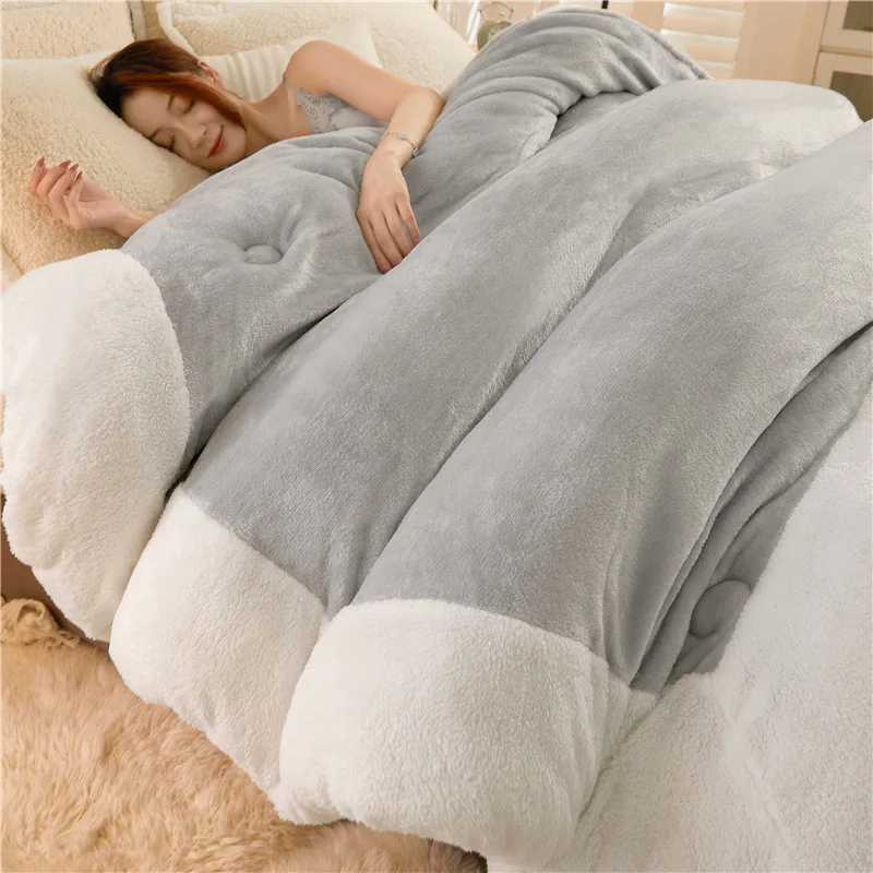 Winter Lamb Wool Quilt Winter Quilt Core Thickened To Keep Warm 10 jin Single Double Student Autumn