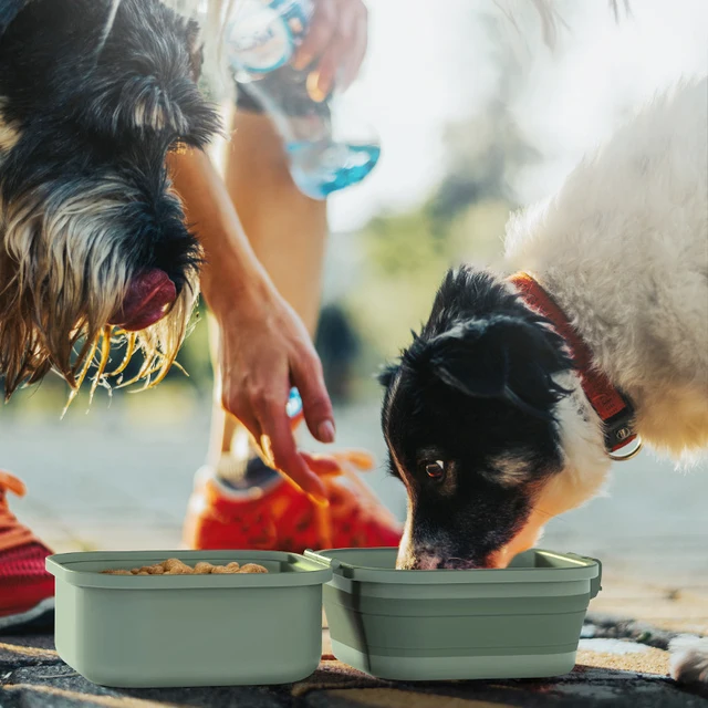 Portable Thickened Folding Pet Double Bowls Tableware Travel Dog Feeder Bowls 2-in-1 Pet Outdoor Travel Supplies 3