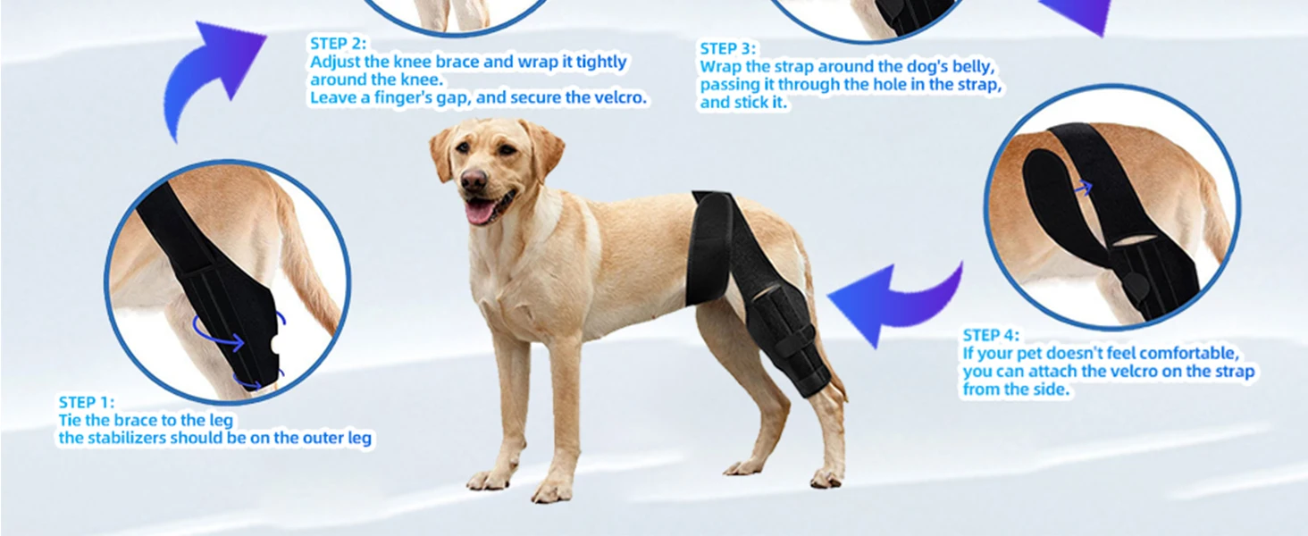 dog knee brace