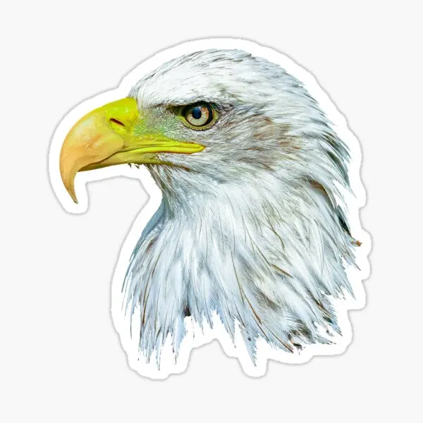 

Car Eagle Sticker for Bonding Sticker Auto Leptop 17CM z1