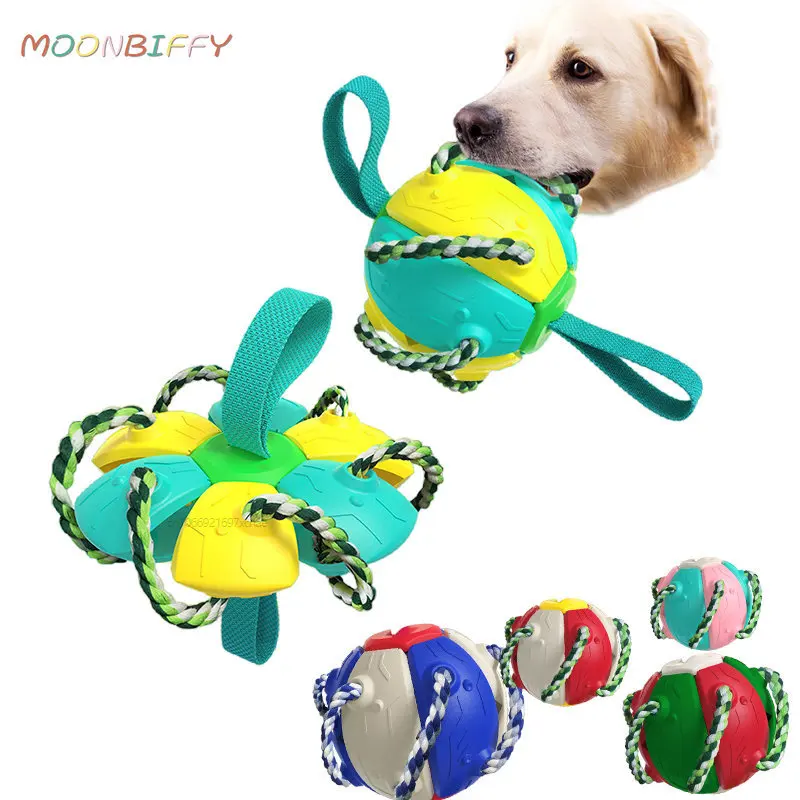 Pelota Interactiva Malla Para Perros – alegriabordercollie