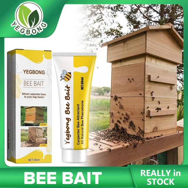 Méh Vonzerőt Csali Raj Csalás Otthoni Méhészet Vonzza Az Eszközök Mézelő Csapdájának Csapdázása Természetes Széles Eloszlás Feromon