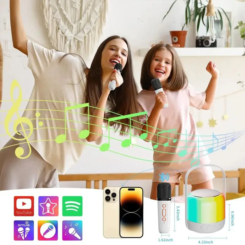 RGB Colorful LED Light Bluetooth 5.3 PA Speaker Wireless Dual Microphones Karaoke Machine KTV DSP System 3D HIFI Stereo Surround
