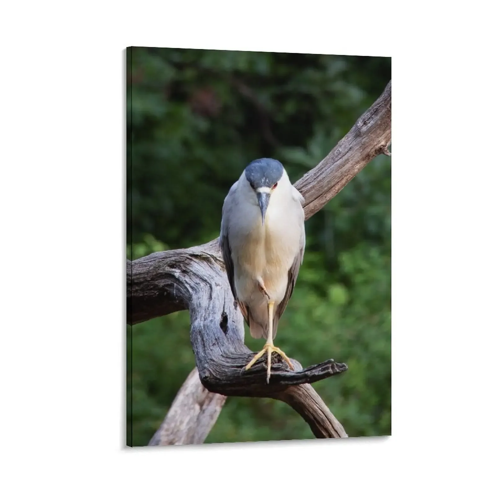 

Bird Patiently Fishing Canvas Painting Decor for room stickers & posters office decoration photos for living room