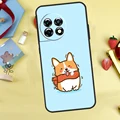 YY2620