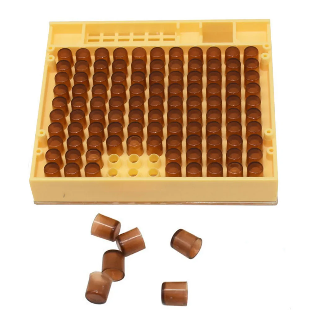 Beekeeping Queen Rearing Cell Cup Kit Equipment Apiculture System Bee Keeper Cultivate Queen-bee Set King Tools Supplier Cells