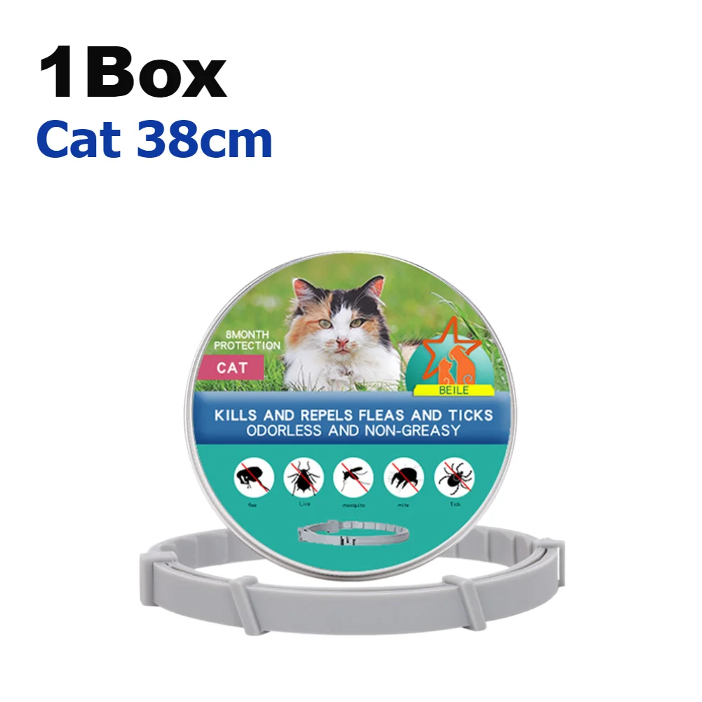 1Box Cat 38cm