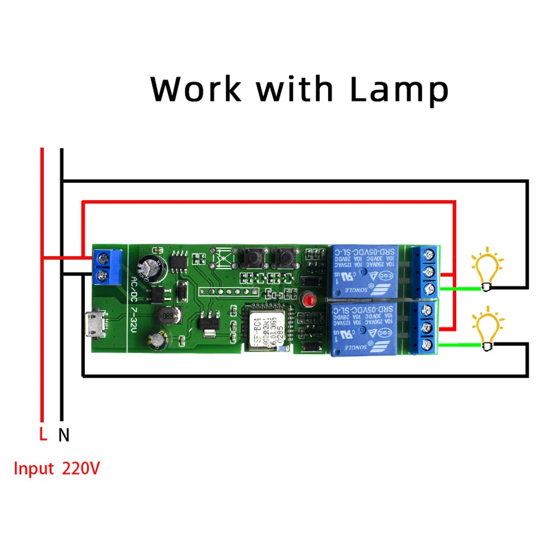 DIY EWelink WiFi Smart Garage Door Opener Controller 433mhz RF Remote Control Switch Receiver Voice Control Alexa No Hub Needed