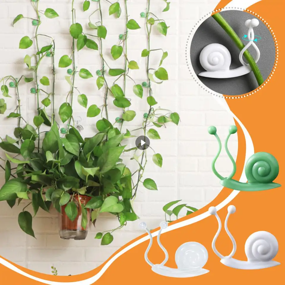 60 Piezas Clip De Fijación De Planta, Soporte De Plantas
