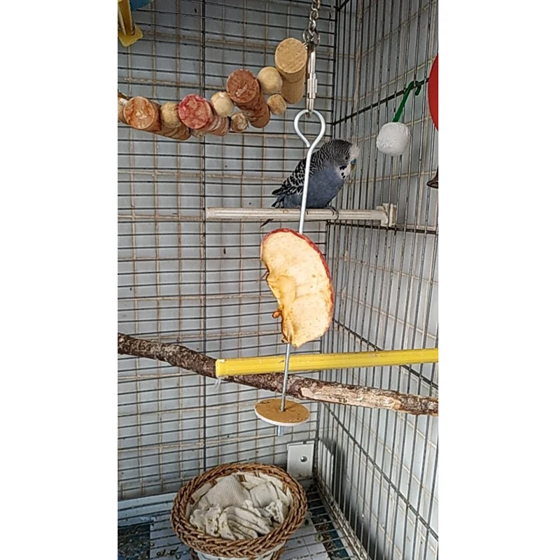 Stainless Steel Parrot Bird Feeder Food Holder Support Fruit Spear Stick Meat Skewer
