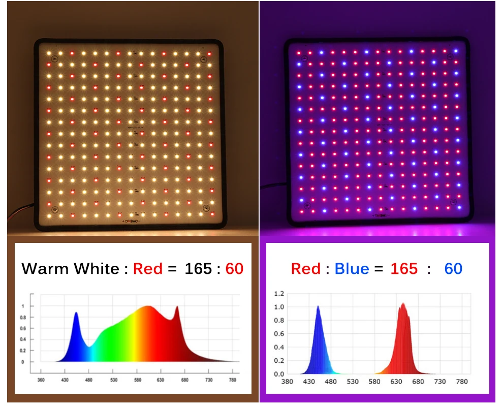 Description Picture 5 of itemLED Grow Light Full Spectrum 1000W 85-240V Phyto Lamp for Indoor Plants Growing Light Bulbs for Greenhouse Tent Flowers