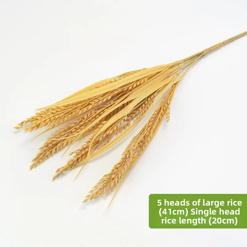 5 heads of large rice khaki color