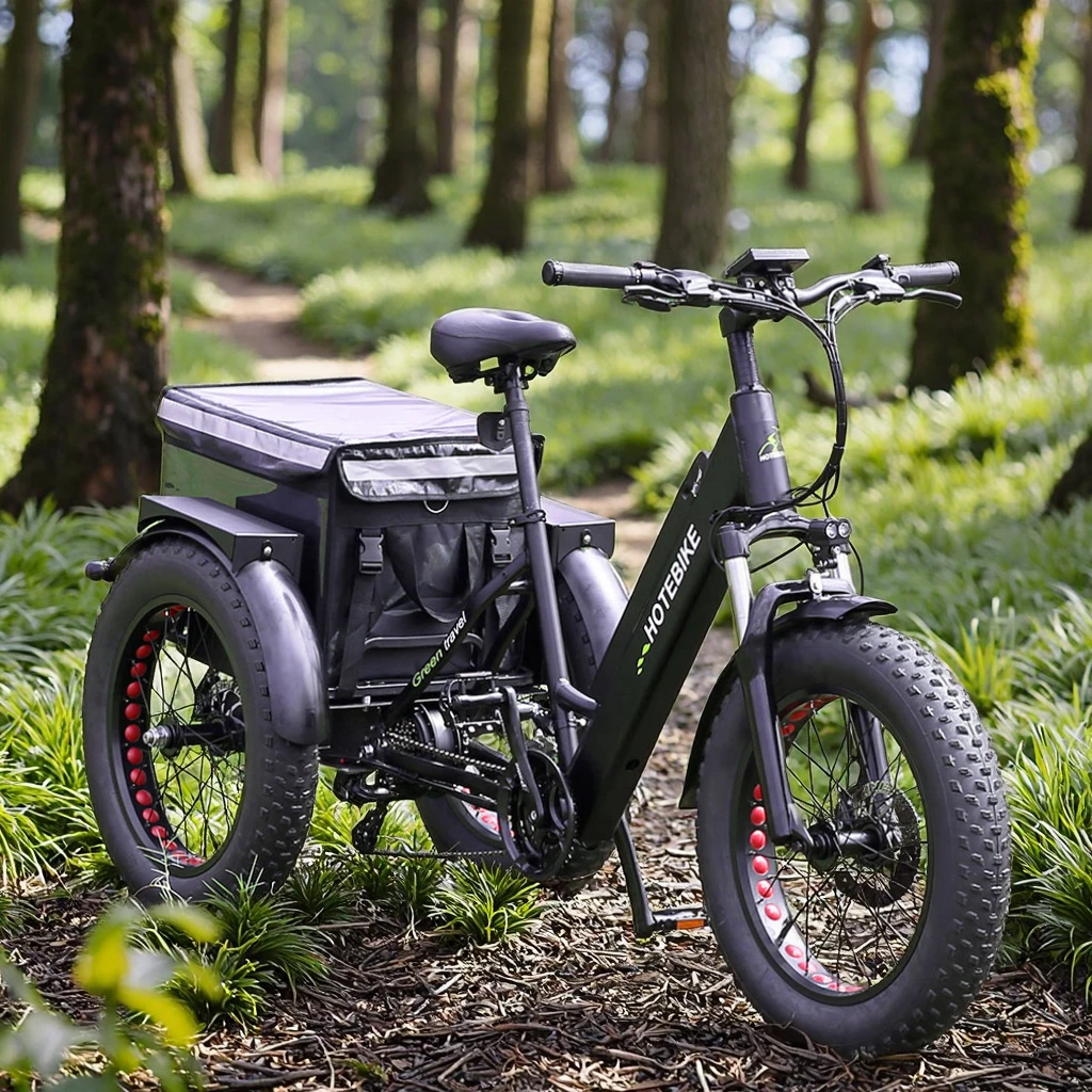 2025 Hochwertiges 500 W 750 W Frachtdreirad, elektrisches Pedicab, Lithiumbatterie, Fat Bike, elektrisch 3