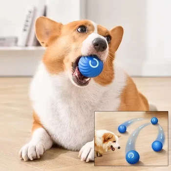 Interactive Chew Toy 1