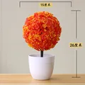 Yingxueqiu orange
